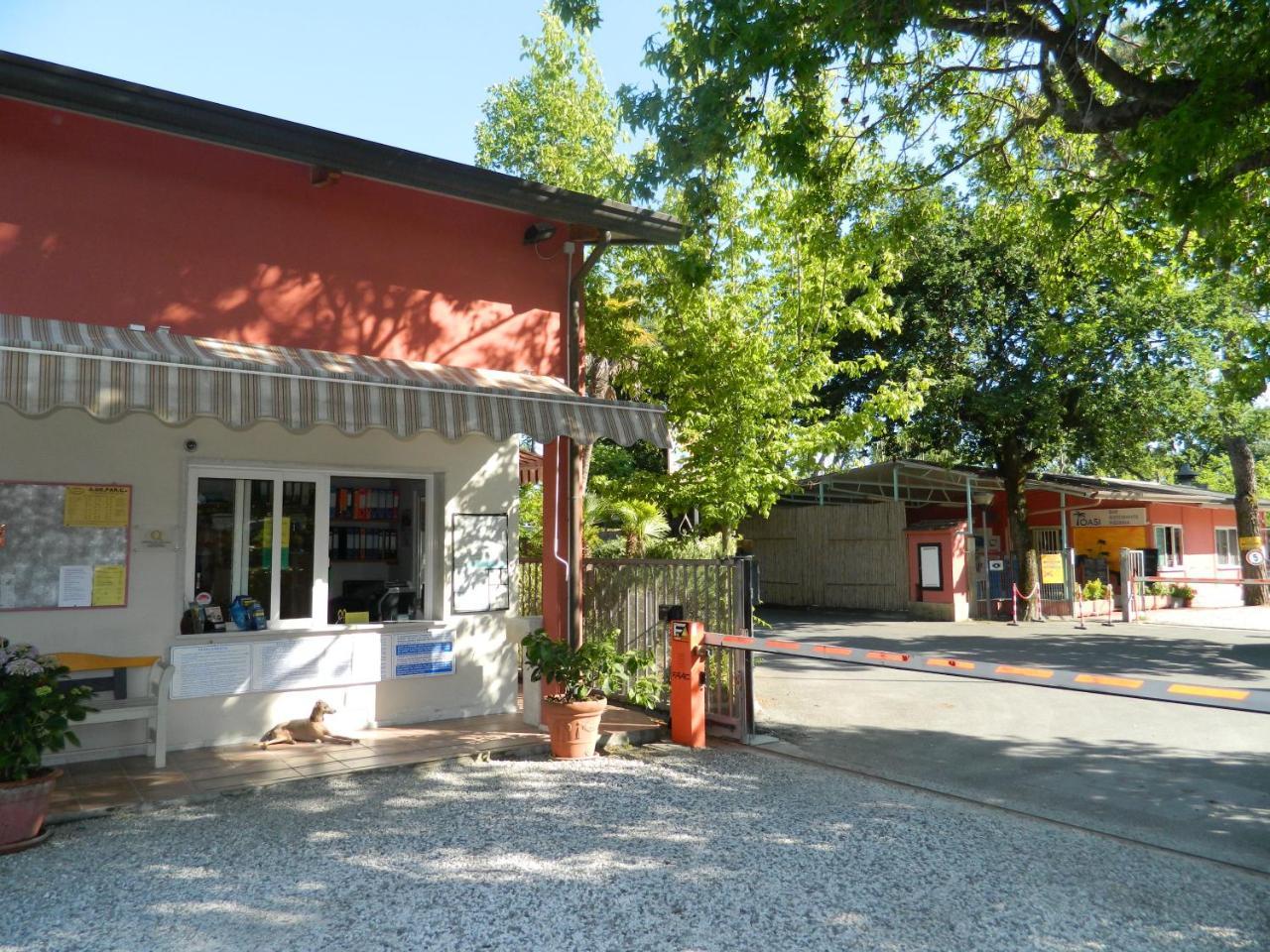 Camping Oasi Marina di Massa Zewnętrze zdjęcie